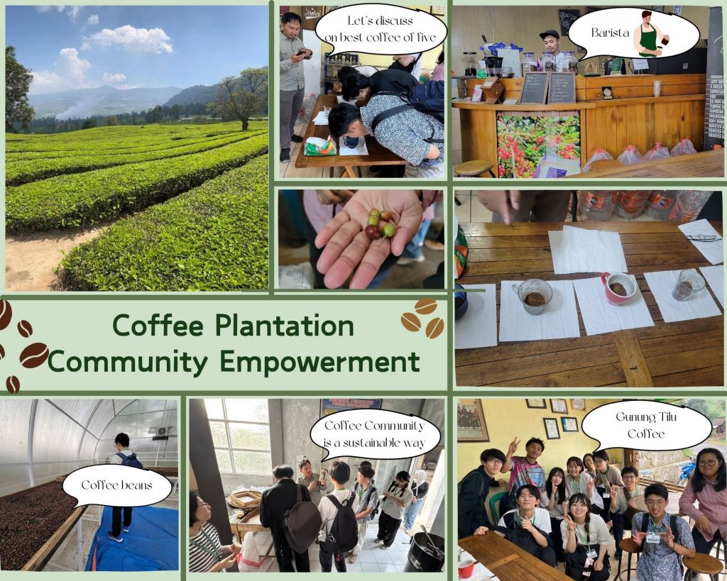 Coffee Plantation & Community Empowerment FW